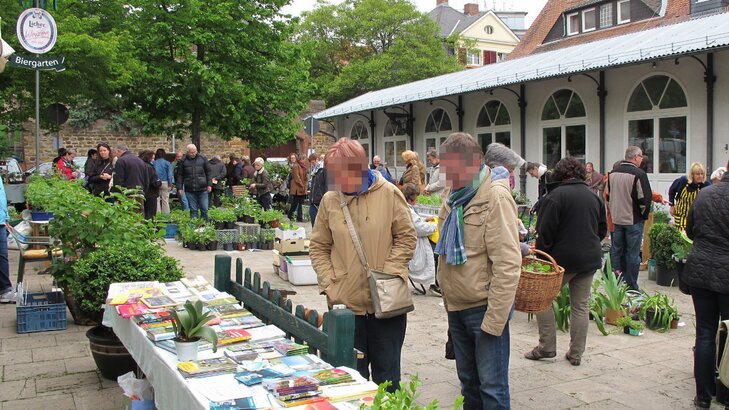 25. Jubiläums-Pflanzenflohmarkt der Stadt Bad Nauheim